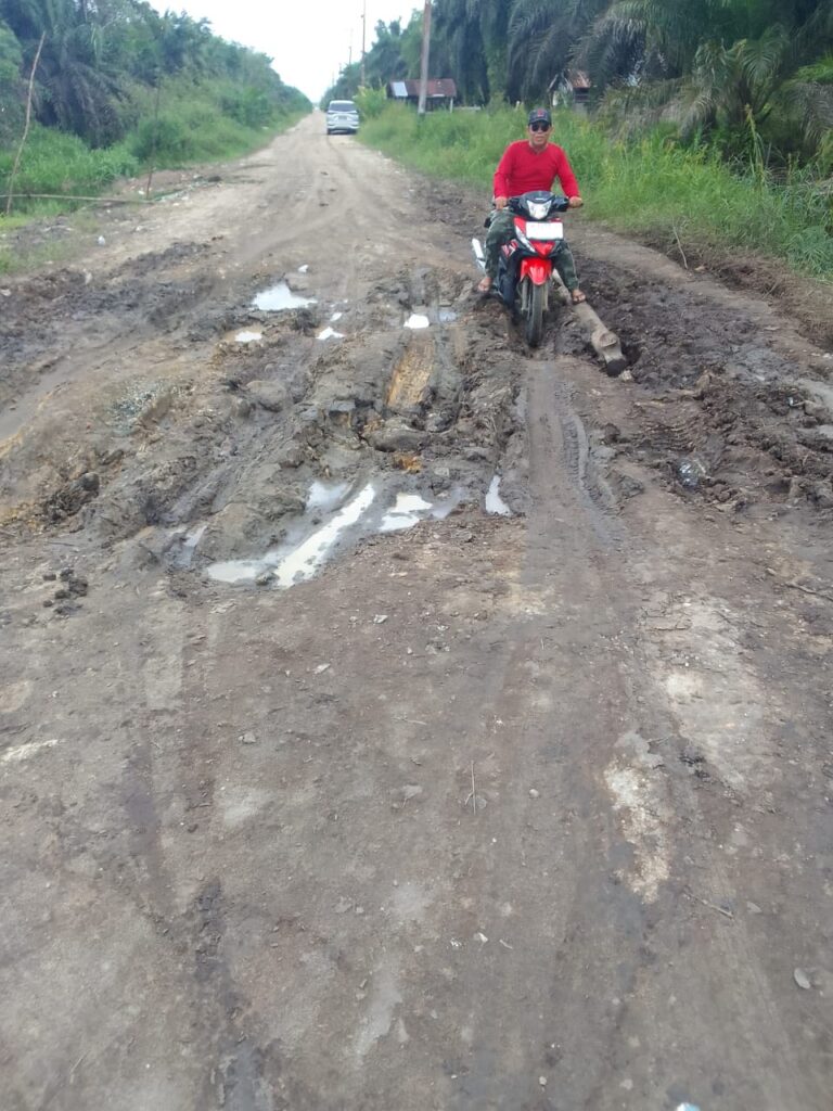 Akses Jalan di Desa Sungai Ara Rusak Parah