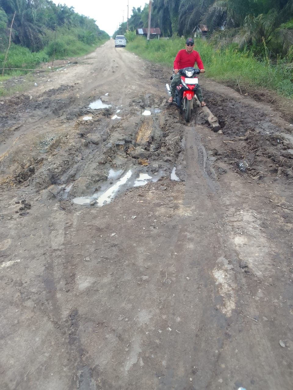 Akses Jalan di Desa Sungai Ara Rusak Parah