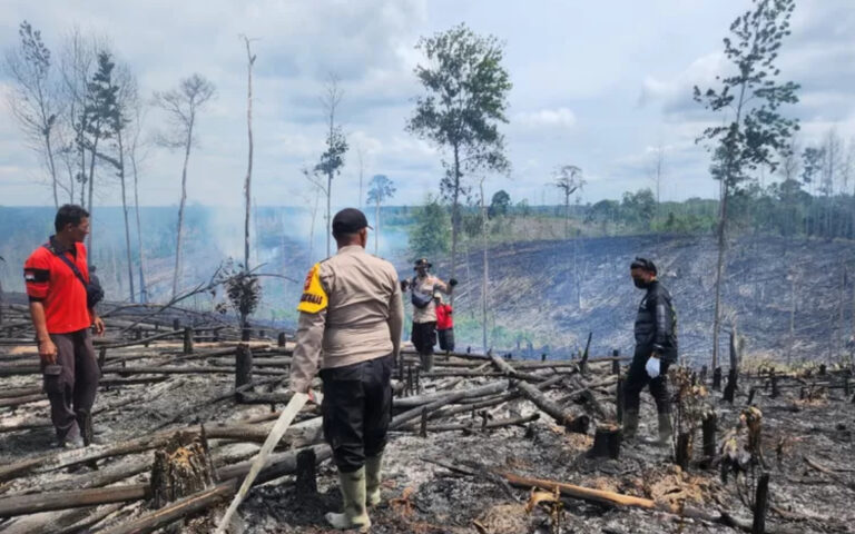 Capai 5 Hektar Lahan di Kawasan TNTN Lubuk Kembang Bungo Terbakar