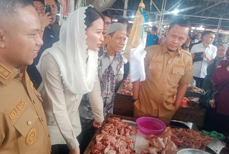Dikunjungi Wamendag RI, Pedagang Pasar Cik Puan Minta U-Turn Dibongkar