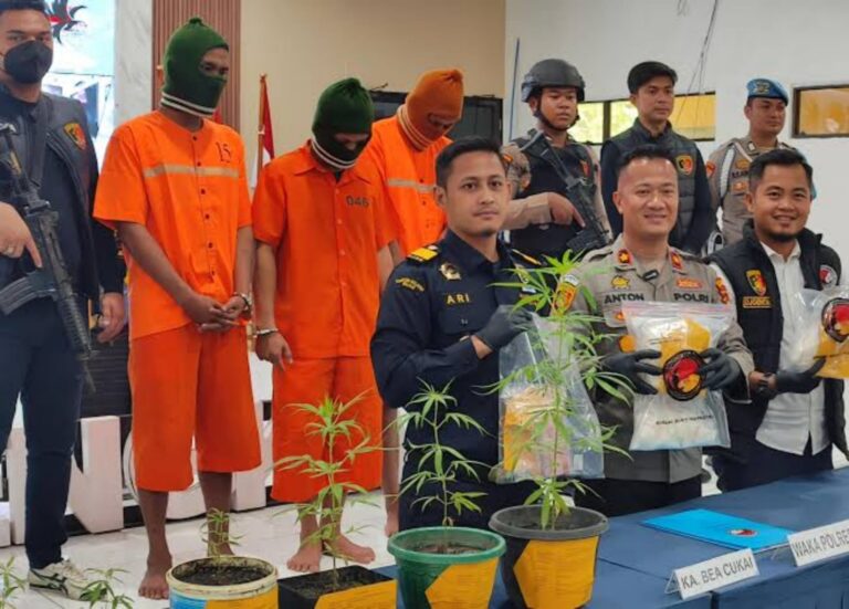 Polisi Sita 8 Pot Tanaman Ganja di Bengkalis