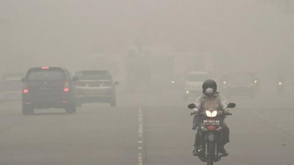 Antisipasi Kabut Asap Karhutla, Riau Terima 30 Oxygen Cencentrator: Ubah Udara jadi Oksigen
