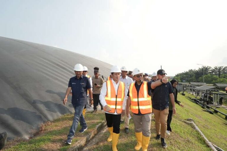 Pemerintah Minta Gapki Dorong Perusahaan Sawit Tiru PTPN IV PalmCo Perkuat Dekarbonisasi