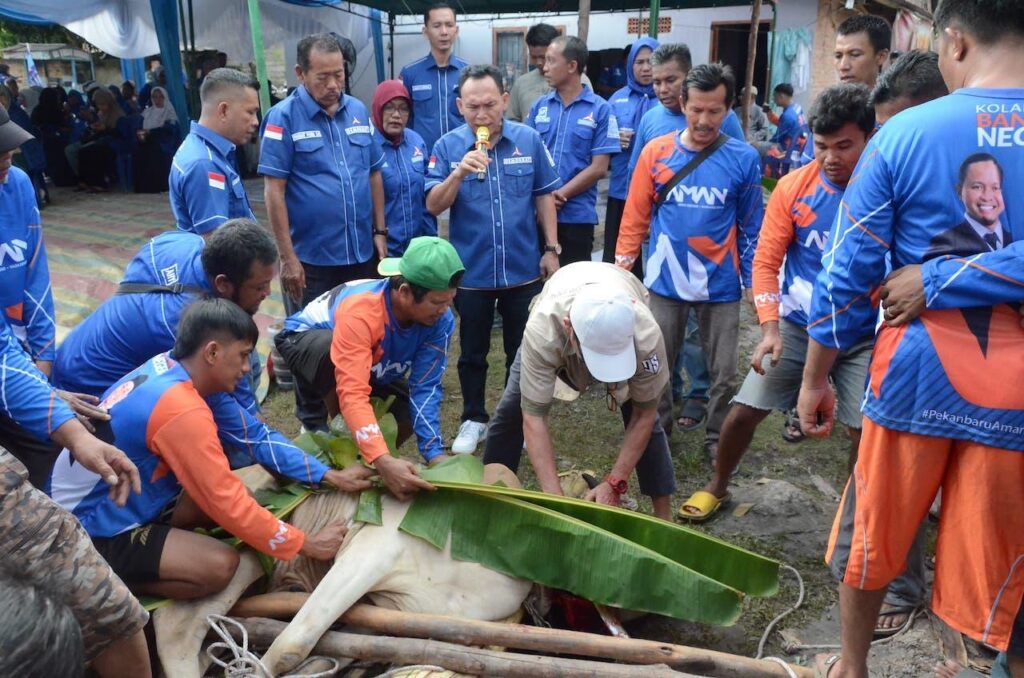 3 Sapi dan 2 Kambing Kurban Demokrat Pekanbaru, Ketua Azwendy: Bukan Sekadar Ibadah, Juga Kepedulian