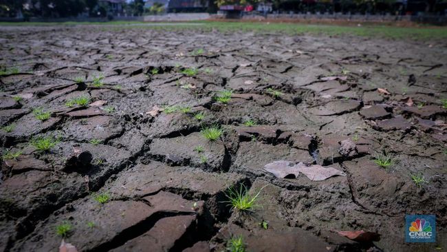 5 Wilayah Alami Kekeringan di Puncak Musim Kemarau