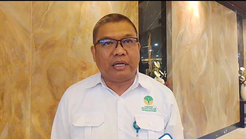 BKSDA Riau Turunkan Tim Mitigasi ke Lokasi Kemunculan Kawanan Gajah di Langgam