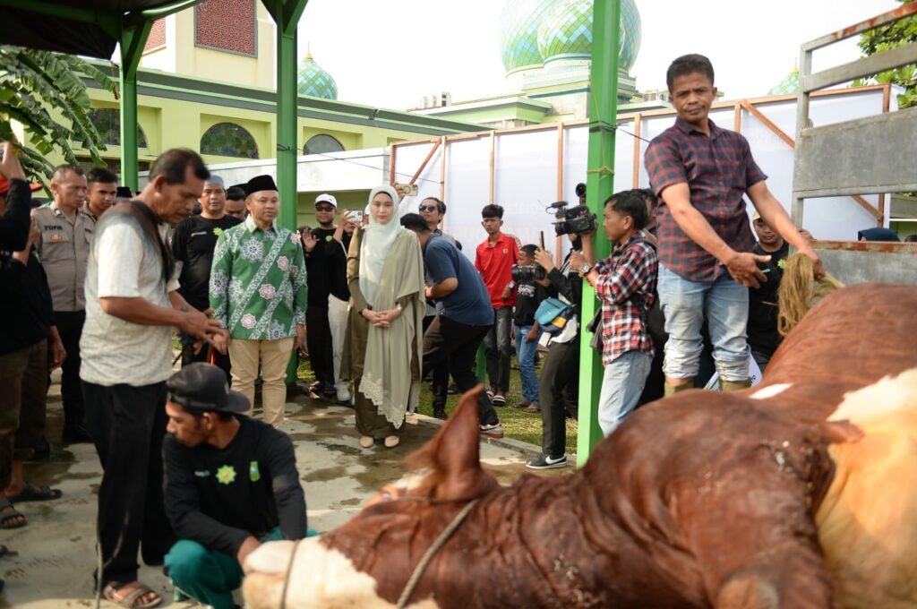 Gubri Wahid Saksikan Penyembelihan Hewan Kurban Presiden Prabowo