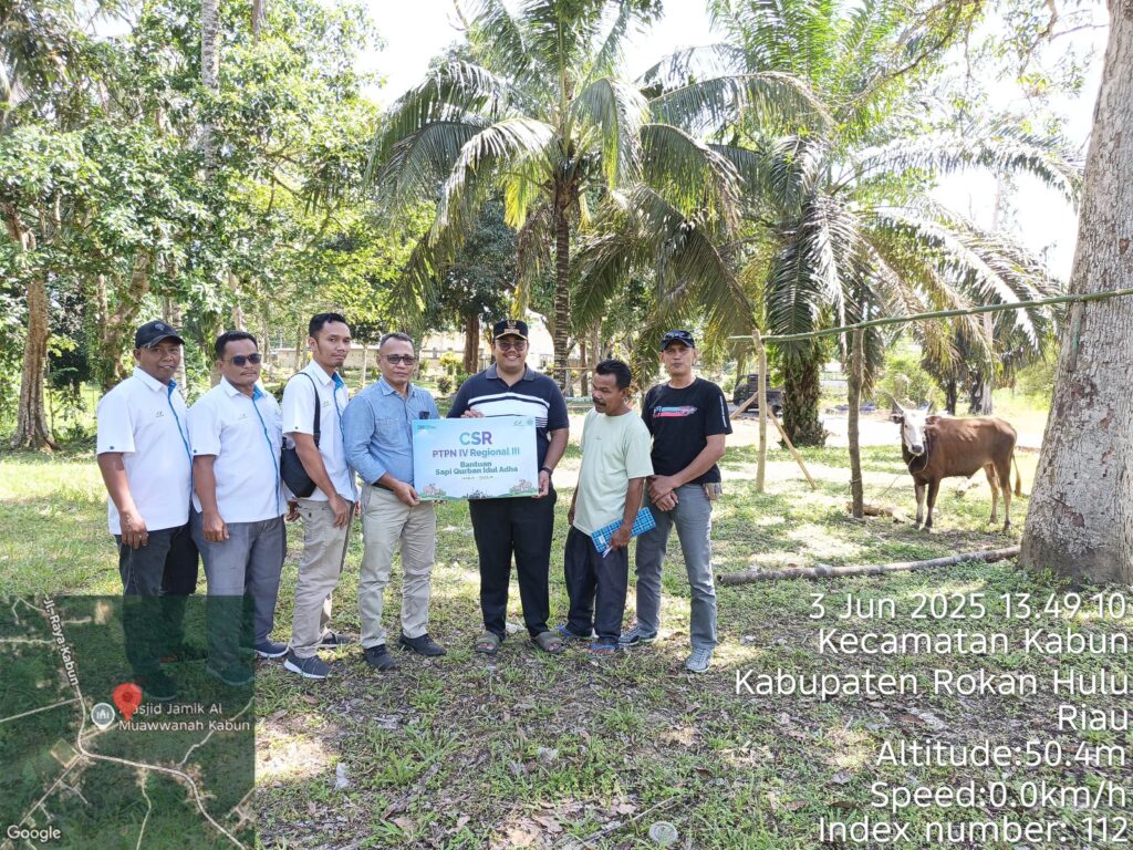 Iduladha 1446 H, Karyawan Muslim PalmCo Siapkan Ribuan Hewan Kurban