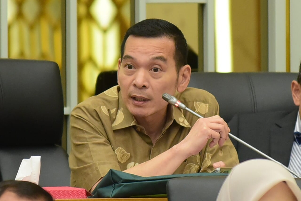 Iklan Jual Pulau, Daniel Johan: Lemahnya Pengawasan Negara