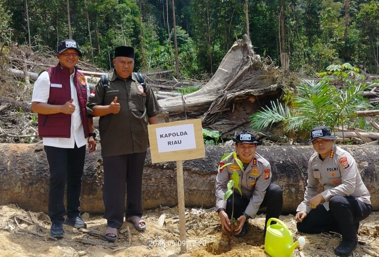 Kapolda Irjen Herry Tanam Pohon di Hutan Lindung usai Dibabat Perambah