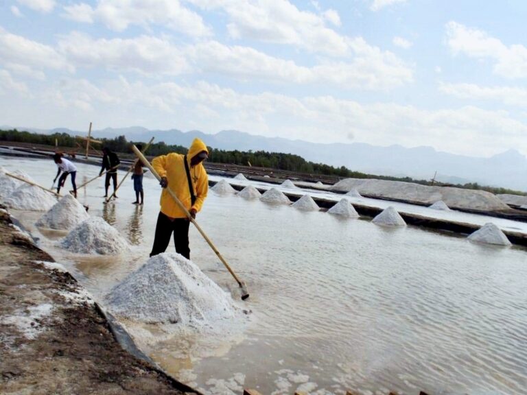 Pemerintah Persiapkan Lahan 10 Ribu Hektar di Pulau Rote untuk Industri Garam