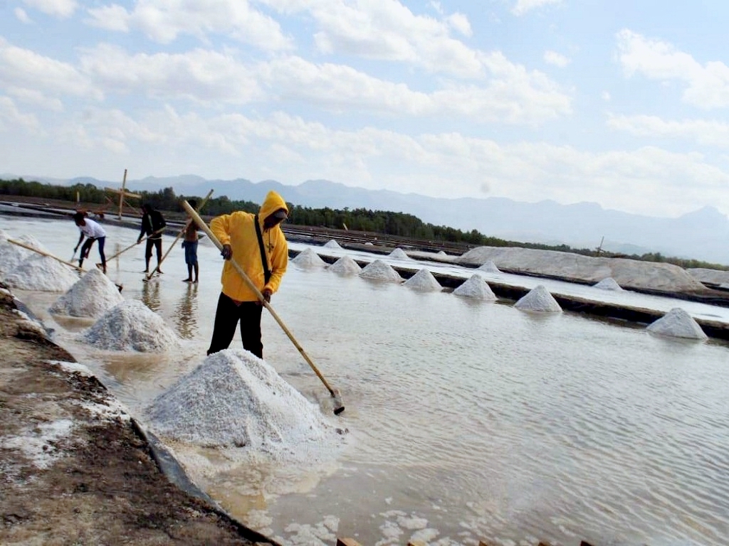 Pemerintah Persiapkan Lahan 10 Ribu Hektar di Pulau Rote untuk Industri Garam