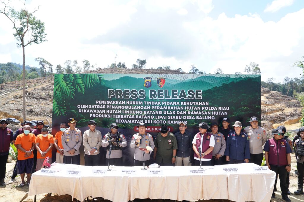 Rambah Hutan Lindung di Kampar Jadi Kebun Sawit, Empat Orang jadi Tersangka