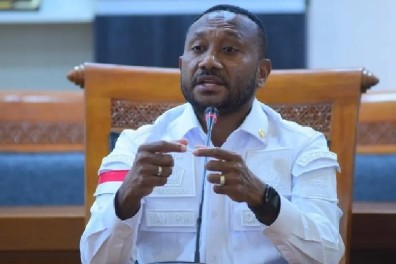 Yan Mandenas Dukung Pemerintah Tertibkan Izin Tambang di Papua