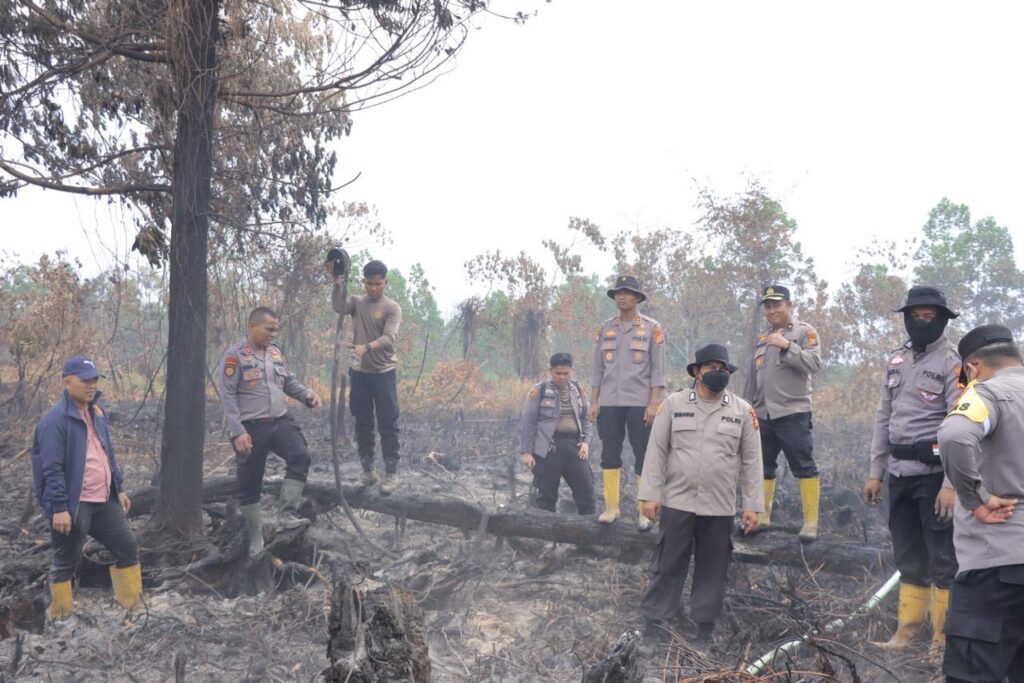Aparat Gabungan Berupaya Padamkan Karhutla di Tapung