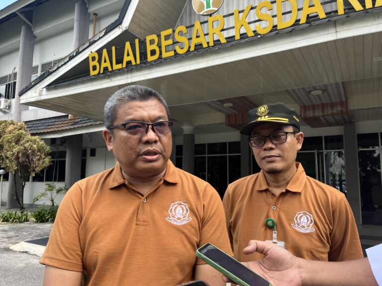 Mangsa Ternak Warga di Teluk Meranti: Ulah Harimau Sampale