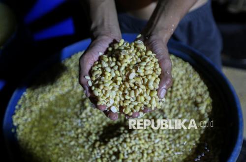 Swasembada Kedelai Dikebut, Amran Ingin Produksi Tembus 5 Ton per Hektare
