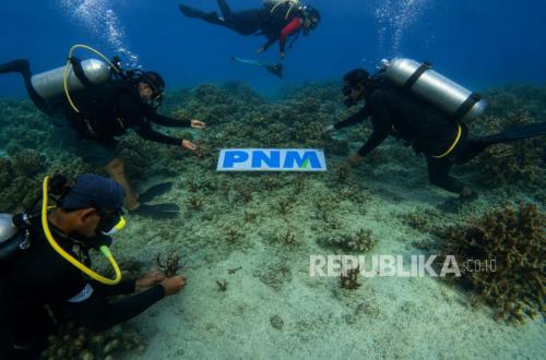 Upaya PNM Hadirkan Masa Depan Anak-Anak Lewat Pelestarian Laut